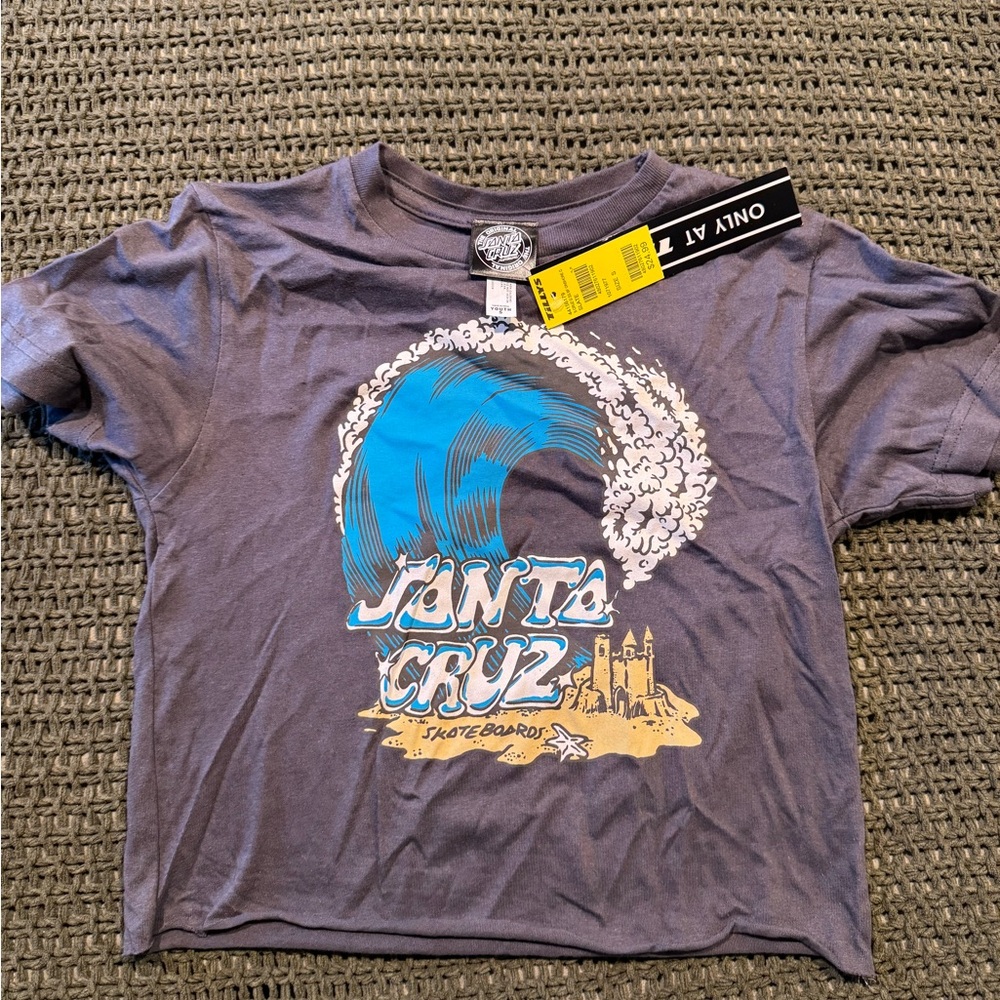 Santa Cruz Skateboards Kids Tee - Gray and Blue